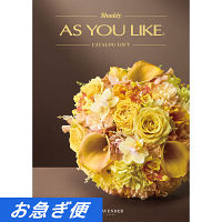 カタログギフト　アズユーライク［洋風表紙］　１０，９００円コース【お急ぎ対応】