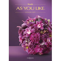 カタログギフト　アズユーライク［洋風表紙］　３０，９００円コース宅配無料