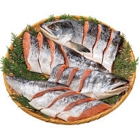 北海道産　新巻鮭と鮭といくらの糀漬