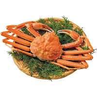 北海道　産茹でオオズワイガニ姿