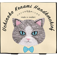 Ｕｃｈｉｎｏｋｏ　ｍａｔｅ　毛並みハンカチ ハチワレ 