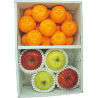 有田みかん・サンふじりんご・王林りんご