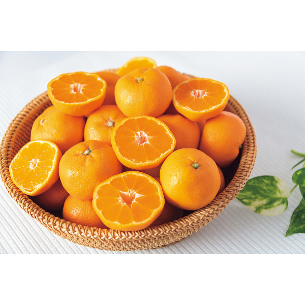 熊本県産草枕みかん（４ｋｇ）のサムネイル画像1