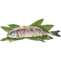 北海道礼文島・利尻島沖産　熟成新巻鮭姿Ｌ（姿・１．５ｋｇ）