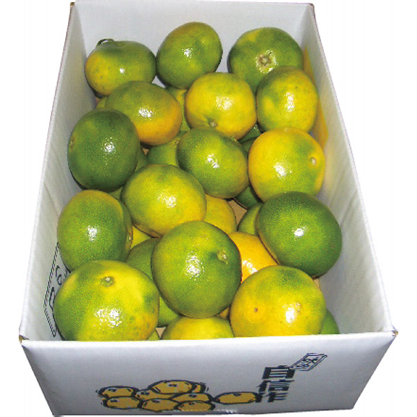 和歌山県産　ゆら早生みかん（３ｋｇ）