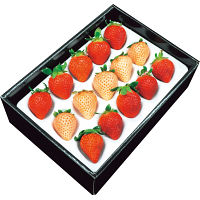 紅白いちご（計２５０ｇ）