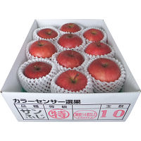 青森県産　糖度１４度以上サンふじ　（２．５ｋｇ）