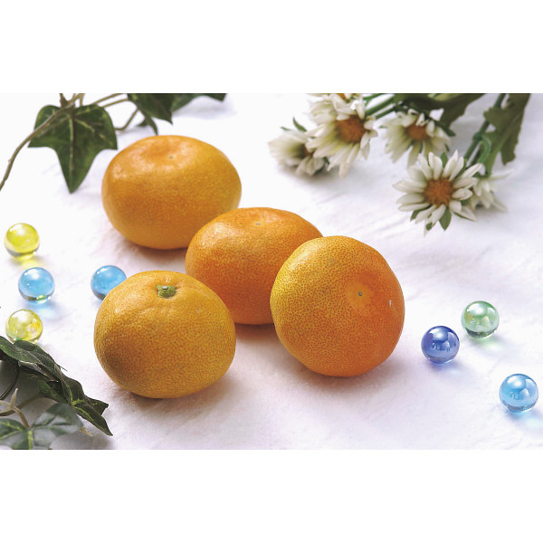 愛媛県産　日の丸みかん（２ｋｇ）のサムネイル画像2