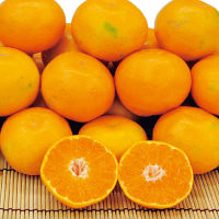 愛媛県産　日の丸みかん（２ｋｇ）