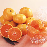 和歌山県　武内園の有田みかん３ｋｇ