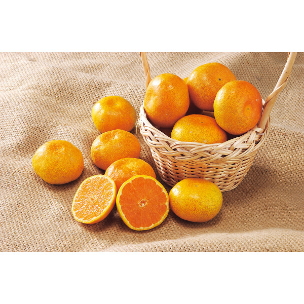 みかん・りんごセットのサムネイル画像1