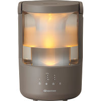 リズム　プールレス加湿器　ＭＩＳＴ２５０