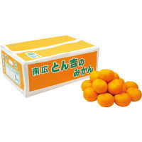 和歌山県産とん吉のみかん（５ｋｇ）