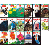 小学館の図鑑ＮＥＯポケット１７巻セット