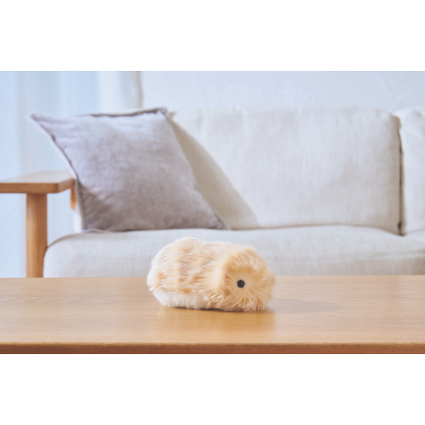 カシオ　モフリン ゴールドのサムネイル画像4