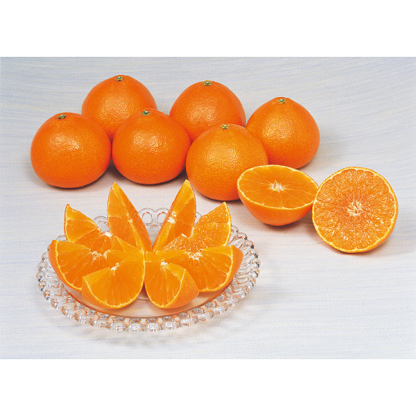 愛媛県産　紅まどんな　秀品（３ｋｇ）のサムネイル画像1