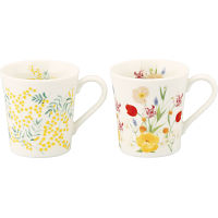 日比谷花壇　ペアマグセット