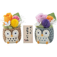 しあわせふくろう２色セット（プリザーブドフラワー）