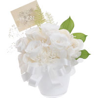 プリザーブド仏花　白蓮