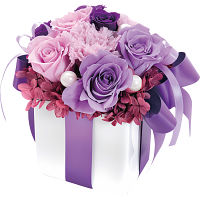 プリザーブドフラワー　ネルケモーナット