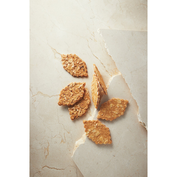 モロゾフ　ファヤージュのサムネイル画像2