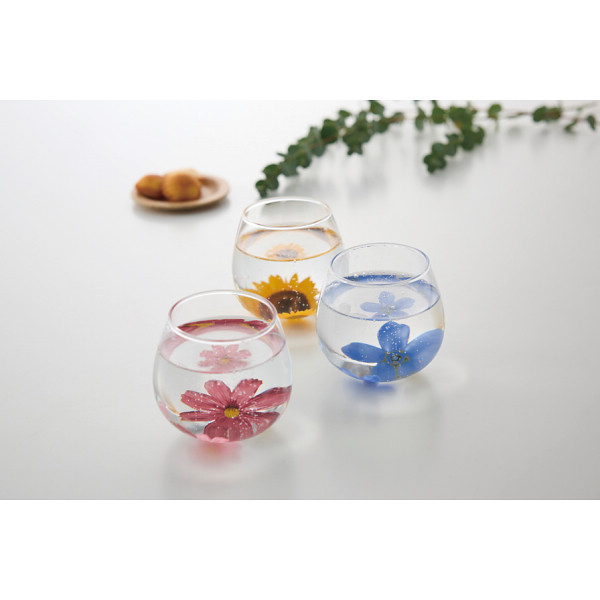 フローラ　ゆらりグラス コスモスのサムネイル画像1
