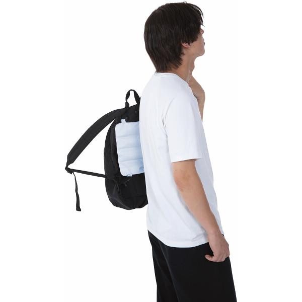 ひんやりジェルキャリー ブルーのサムネイル画像1