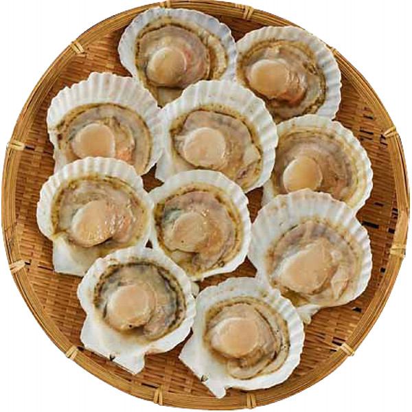 北海道産帆立片貝のサムネイル画像1