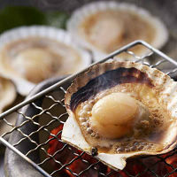 北海道産帆立片貝