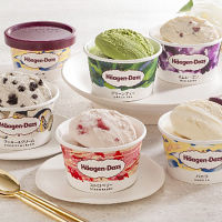 「ハーゲンダッツ」アソートバラエティ５種３０個