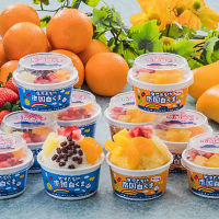 鹿児島南国白くま＆マンゴー詰合せセット（２種計１０個）