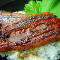 高知「四万十味紀行」高知県産うなぎ蒲焼カット