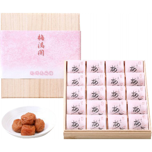 和歌山紀州南高梅梅満開のサムネイル画像1