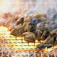 鶏の炭火焼小分けセット