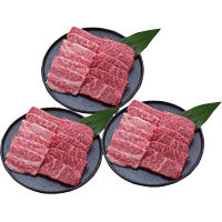 長野信州プレミアム牛肉焼肉