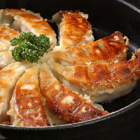 奈良「中華処青天」四川山椒が香るマーボー餃子セット