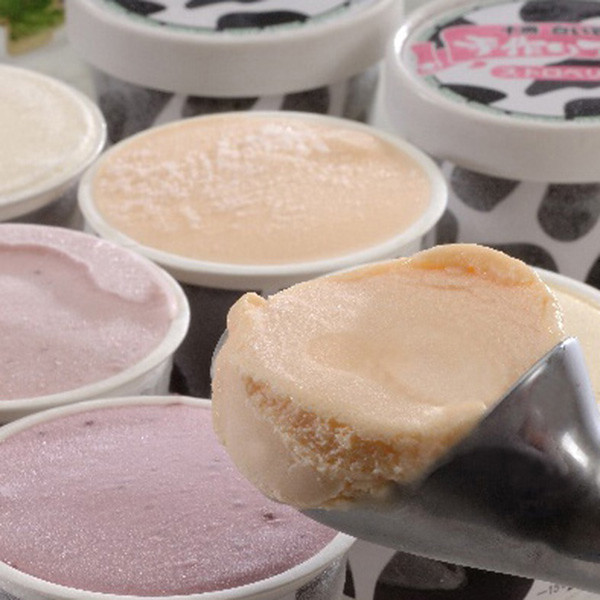 北海道「十勝ドルチェ」十勝白い牧場アイスのサムネイル画像2