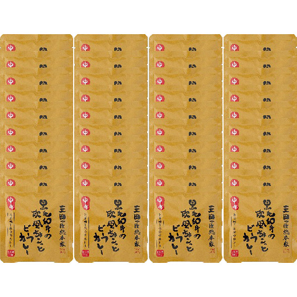 「三田屋総本家」黒毛和牛の欧風ちょこっとビーフカレー４０食のサムネイル画像1