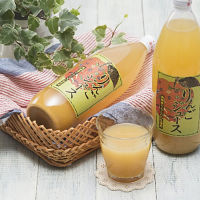岐阜「ＪＡひだ」飛騨産りんごジュース１Ｌ