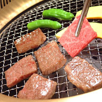 岐阜「ＪＡひだ」飛騨牛肩ロース焼肉用