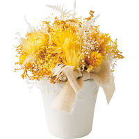 シェリーイエロー（プリザーブドアレンジ）