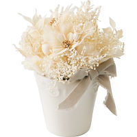 シェリーホワイト（プリザーブドアレンジ）
