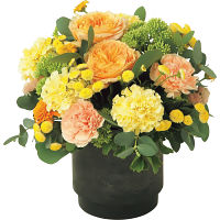 生花アレンジイエローＭ（ボックス：ブラック）