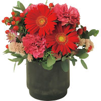 生花アレンジレッドＳ（ボックス：ブラック）