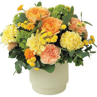 生花アレンジイエローＭ（ボックス：ミルキーホワイト）