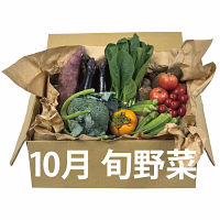 <10月>知多産季節野菜の詰め合わせ
