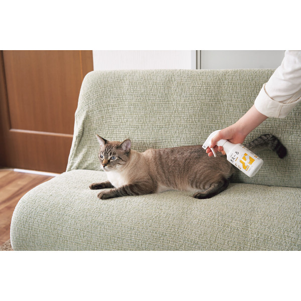 きえーる　Ｄシリーズ　ペット用スプレー（３００ｍｌ）のサムネイル画像6