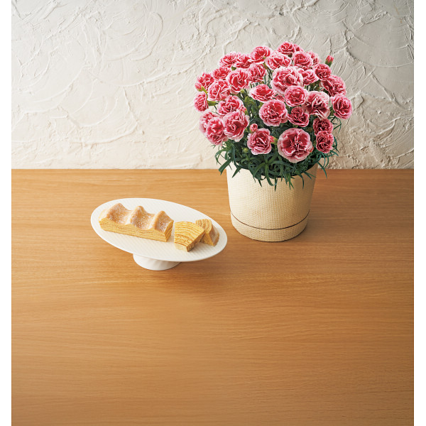 【母の日専用】ねんりん家マウントバームとカーネーションいちごホイップ５号セットのサムネイル画像3