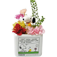 【母の日専用】スヌーピーリトルガーデン（プリザーブドフラワー）