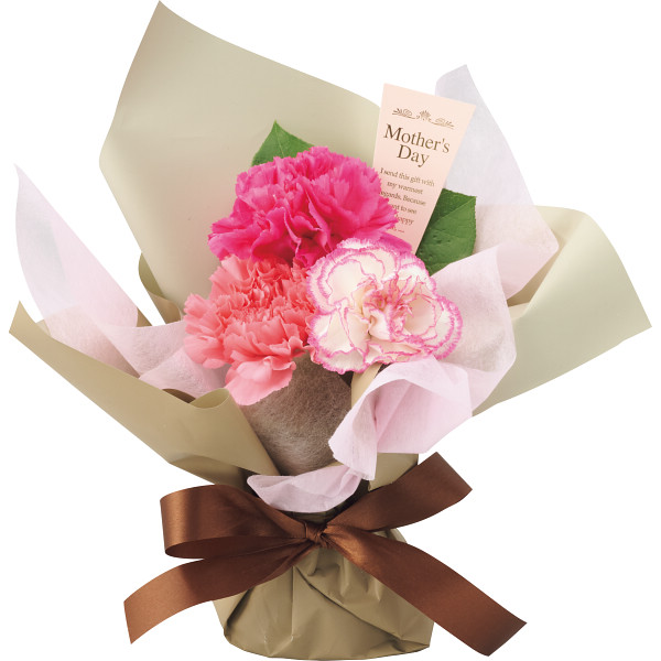 【母の日専用】ゴディバ　あまおう苺クッキーとスタンディングブーケのセットのサムネイル画像1